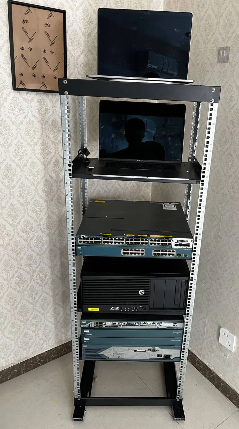 刚刚站起来的机架