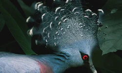 Featured image of post Google SRE 白皮书：Cloud CRE 生产成熟度评估