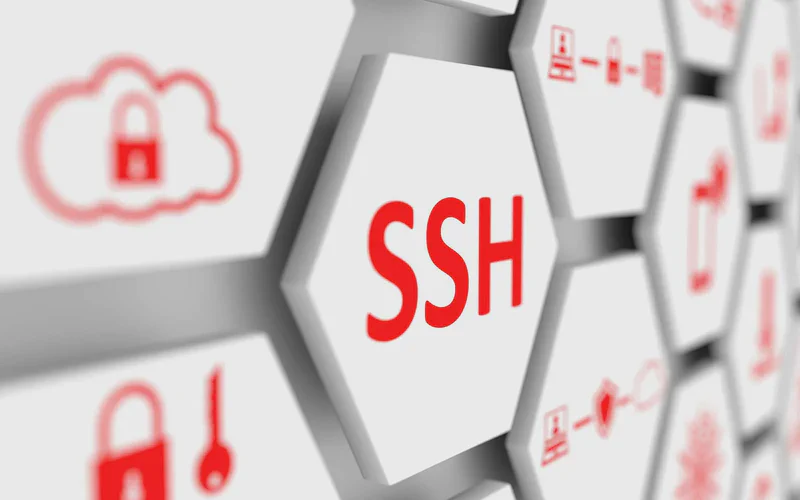 Featured image of post 我为什么使用多个 SSH 密钥，而不是只用一个？