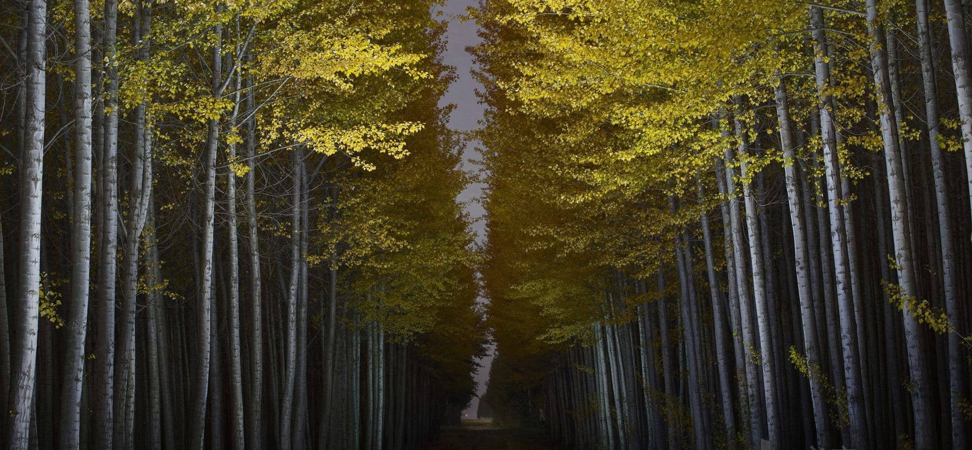 Featured image of post 2017年DevOps采用和趋势现状-信息图